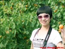杏姑--汶上白石山杏形象代言人