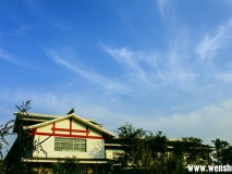汶上蓮花湖濕地風(fēng)光照片