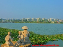 汶上南湖風(fēng)光