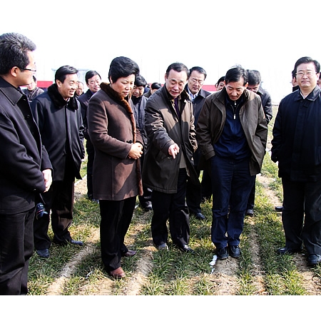 國家農(nóng)業(yè)部副部長(zhǎng)陳曉華來汶上縣檢查指導(dǎo)抗旱促春管工作