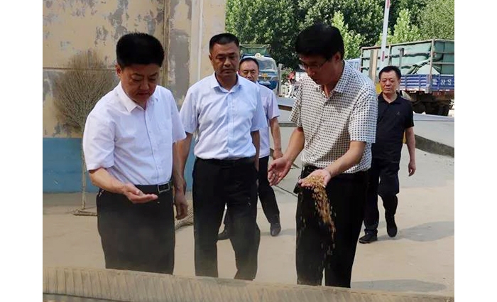 汶上縣人民政府 政務(wù)要聞 縣委常委、副縣長(zhǎng)王洪正督導(dǎo)檢查夏糧收購(gòu)工作