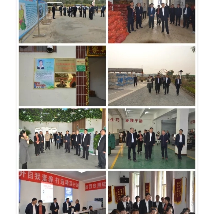 汶上縣人民政府 工作動(dòng)態(tài) 縣政協(xié)視察全縣鄉(xiāng)村人才振興工作