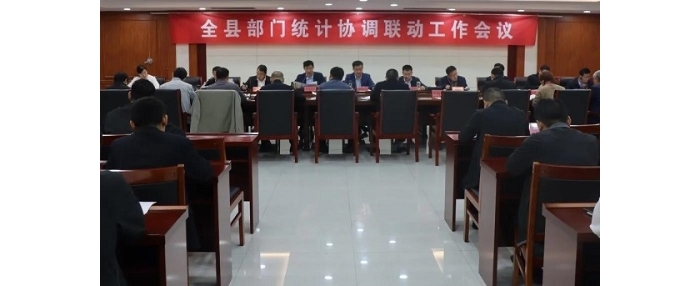 汶上縣召開(kāi)部門(mén)統(tǒng)計(jì)協(xié)調(diào)聯(lián)動(dòng)工作會(huì)議